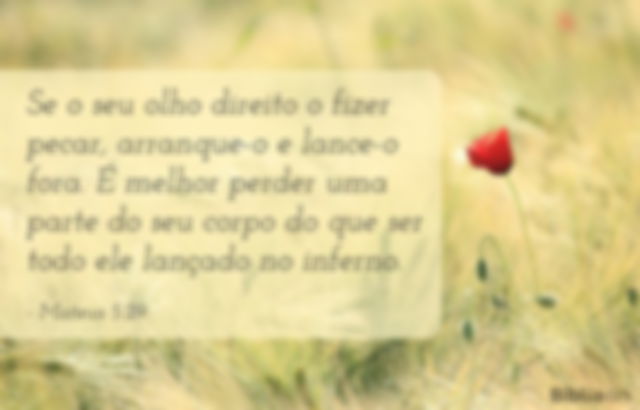 mateus 5:29