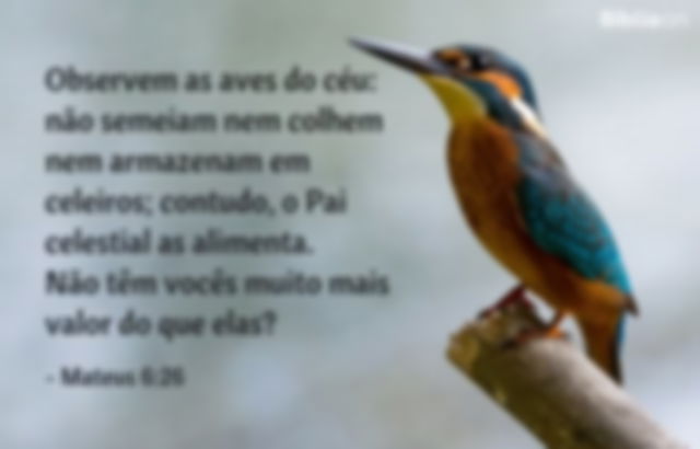 Observem as aves do céu: não semeiam nem colhem nem armazenam em celeiros; contudo, o Pai celestial as alimenta. Não têm vocês muito mais valor do que elas? Mateus 6:26