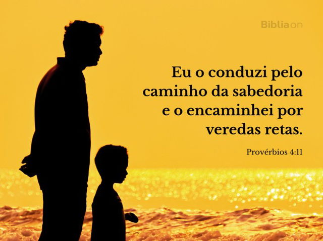 Provérbios 4:11