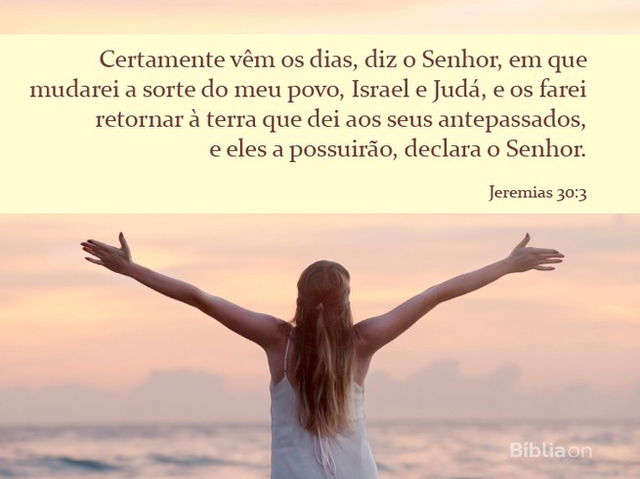 conforto sorte