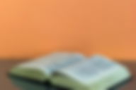 21 versículos sobre Nabucodonosor