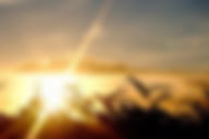 Novos céus e nova Terra (episódio bíblico)