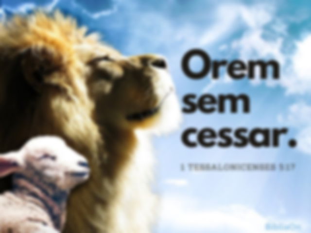 Imagem fundo cordeiro e leão - 1 tessalonicenses 5:17 - Orem sem cessar