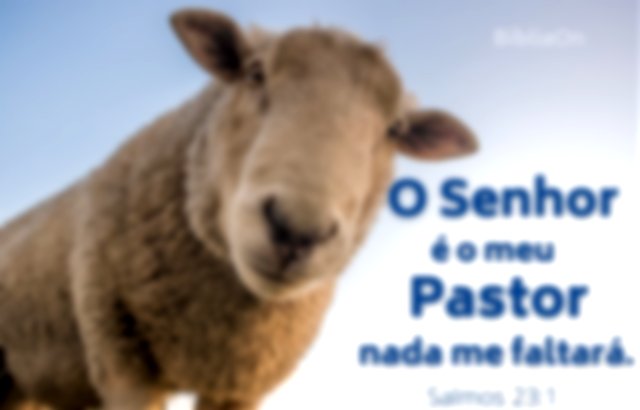 Salmo 23:1 - O Senhor é o meu pastor nada me faltará - Imagem de uma ovelha