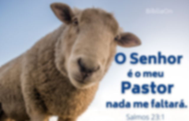 Salmo 23:1 - O Senhor é o meu pastor nada me faltará - Imagem de uma ovelha