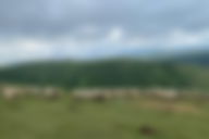 O Senhor é meu pastor e nada me faltará: Reflexão e Mensagem do Salmo 23