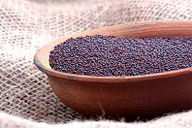 Parábola do grão de mostarda (com explicação)