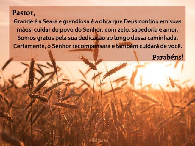 Mensagem dedicada ao Pastor - imagem de uma seara de trigo ao por do sol