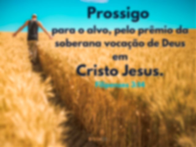Imagem de um homem andando plantação trigo - Prossigo para o alvo... Filipenses 3:14