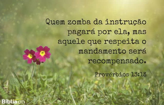 Quem zomba da instrução pagará por ela, mas aquele que respeita o mandamento será recompensado. Provérbios 13:13