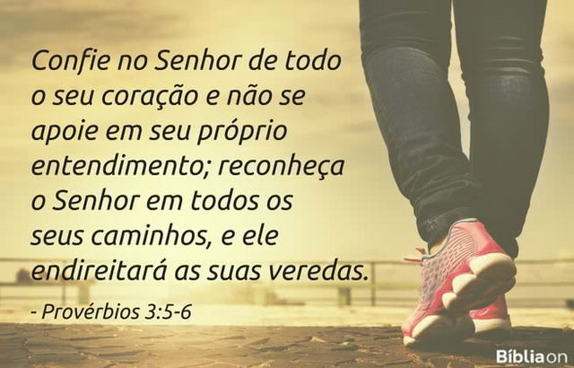 Confie no Senhor de todo o seu coração e não se apoie em seu próprio entendimento; reconheça o Senhor em todos os seus caminhos, e ele endireitará as suas veredas. Provérbios 3:5-6