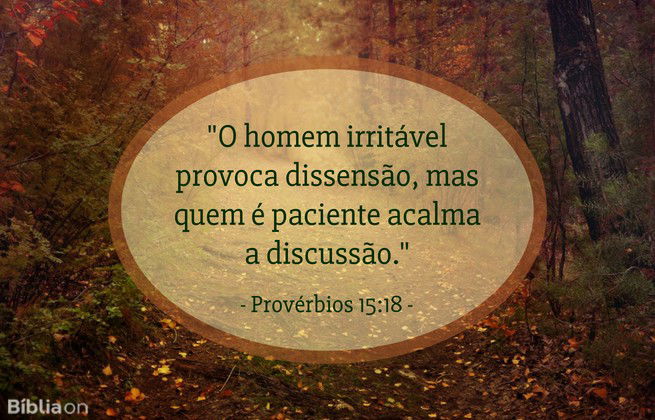 O homem irritável provoca dissensão, mas quem é paciente acalma a discussão.  Provérbios 15:18