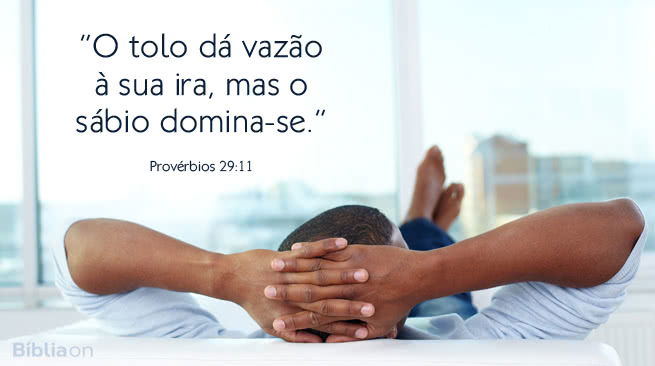 O tolo dá vazão à sua ira, mas o sábio domina-se. Provérbios 29:11