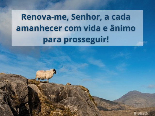 Imagem de uma ovelha sobre uma montanha - Renova-me Senhor...