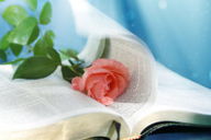 Resumo explicado do livro de Cânticos ou Cantares de Salomão (Estudo Bíblico)