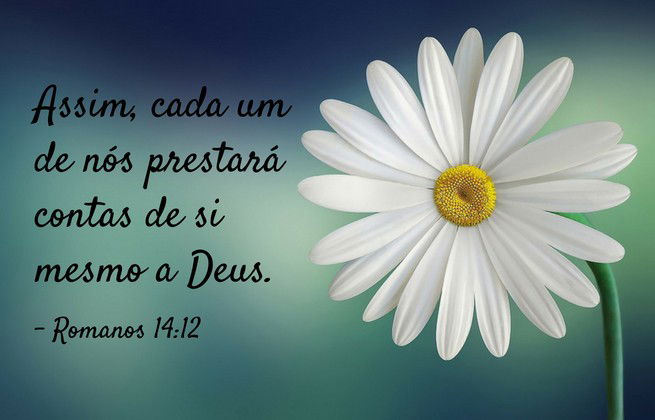 Assim, cada um de nós prestará contas de si mesmo a Deus. Romanos 14:12