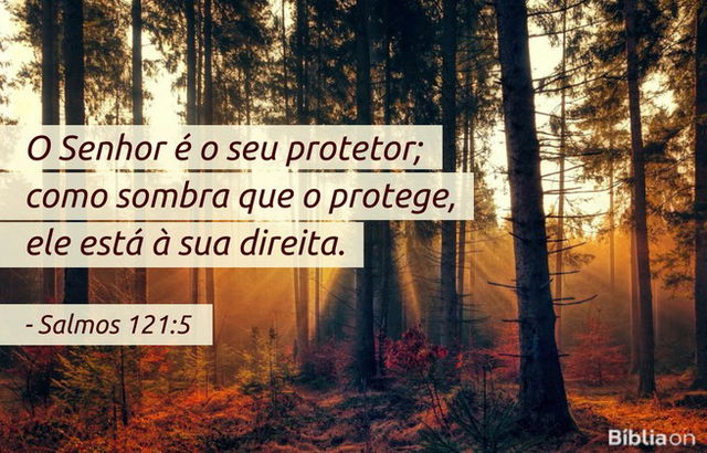 O Senhor é o seu protetor; como sombra que o protege, ele está à sua direita. Salmos 121:5