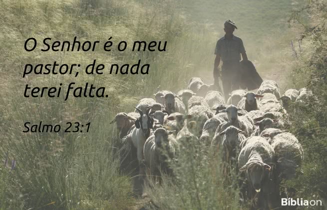 O Senhor é o meu pastor; de nada terei falta. Salmo 23:1