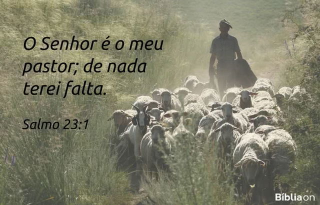 O Senhor é o meu pastor; de nada terei falta. Salmo 23:1