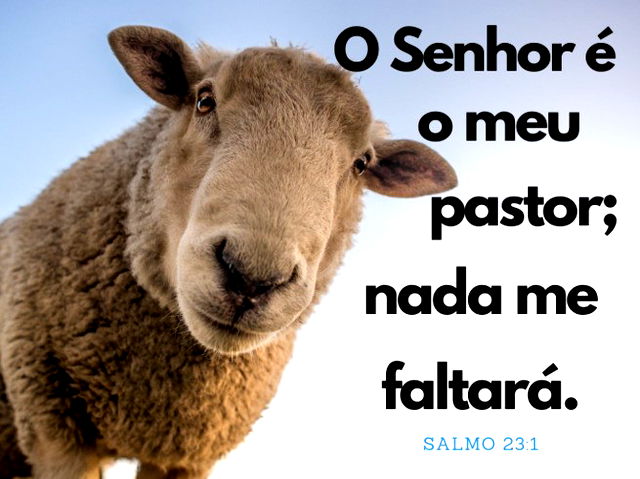 Devocional Salmos O Senhor é o Meu Pastor - Capa Azul