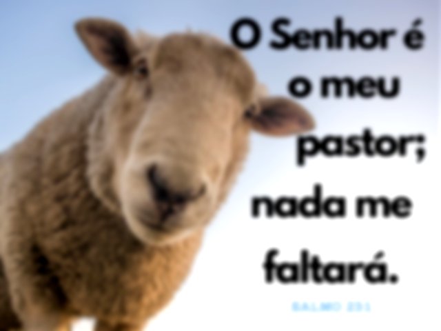 Versículo Salmos 23:1 - imagem de uma ovelha
