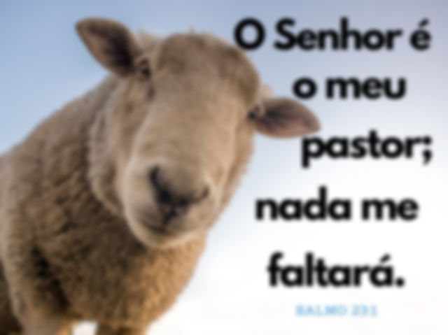 Versículo Salmos 23:1 - imagem de uma ovelha