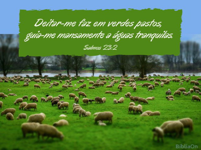 Imagem de rebanho de ovelhas num campo verde, ao fundo um rio - Salmo 23:2