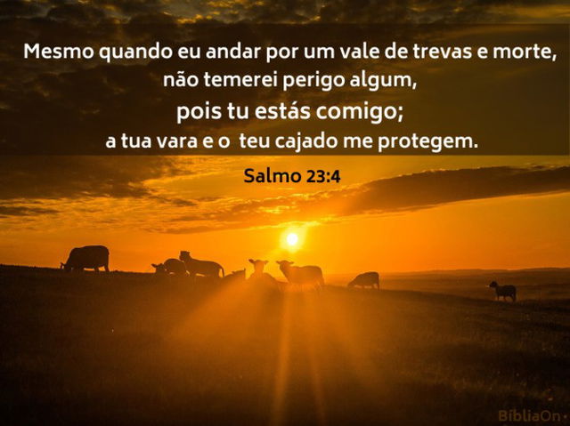 Imagem sombra, silhueta de ovelhas no pôr do sol - Salmo 23:4
