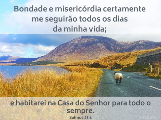 Paisagem com ovelha na estrada - versículo Salmo 23:6