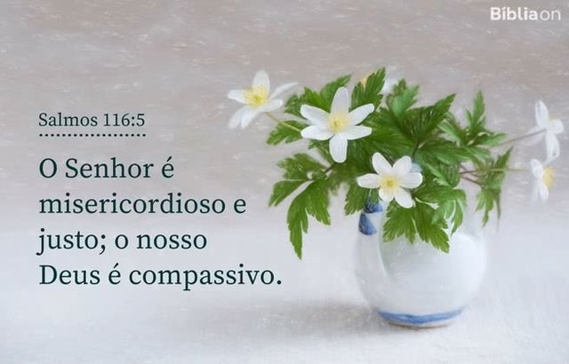 O Senhor é misericordioso e justo; o nosso Deus é compassivo. Salmos 116:5