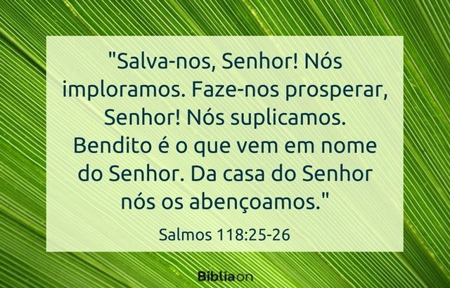 Salva-nos, Senhor! Nós imploramos. Faze-nos prosperar, Senhor! Nós suplicamos. Bendito é o que vem em nome do Senhor. Da casa do Senhor nós os abençoamos. Salmos 118:25-26