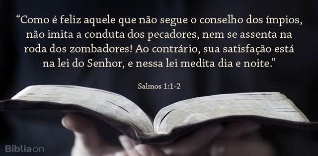 Como é feliz aquele que não segue o conselho dos ímpios, não imita a conduta dos pecadores, nem se assenta na roda dos zombadores! Ao contrário, sua satisfação está na lei do Senhor, e nessa lei medita dia e noite. Salmos 1:1-2