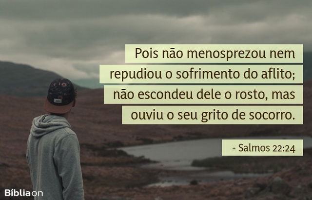 Pois não menosprezou nem repudiou o sofrimento do aflito; não escondeu dele o rosto, mas ouviu o seu grito de socorro. Salmos 22:24