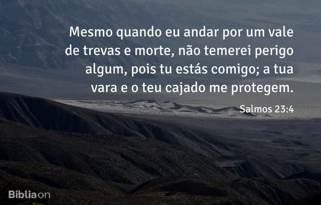 Mesmo quando eu andar por um vale de trevas e morte, não temerei perigo algum, pois tu estás comigo; a tua vara e o teu cajado me protegem. Salmos 23:4