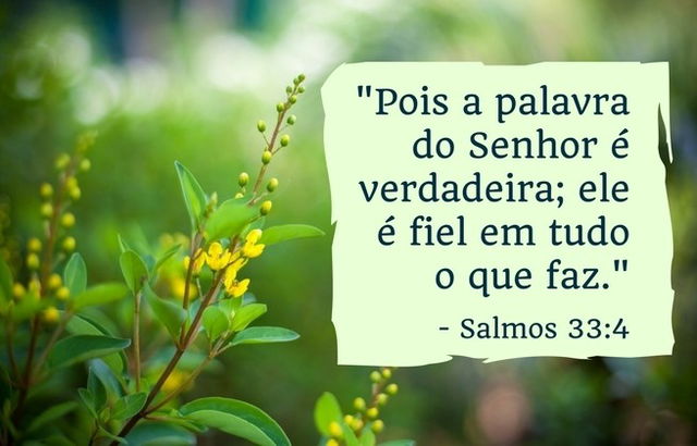 Pois a palavra do Senhor é verdadeira; ele é fiel em tudo o que faz. Salmos 33:4