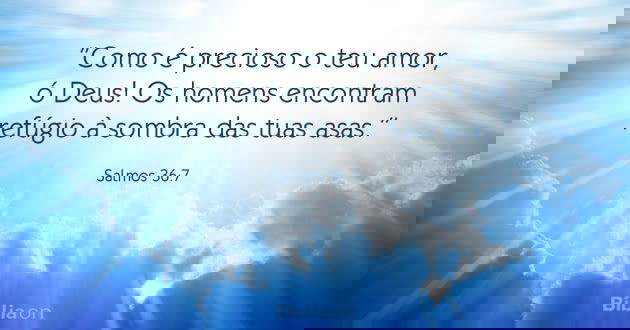Como é precioso o teu amor, ó Deus! Os homens encontram refúgio à sombra das tuas asas. Salmos 36:7