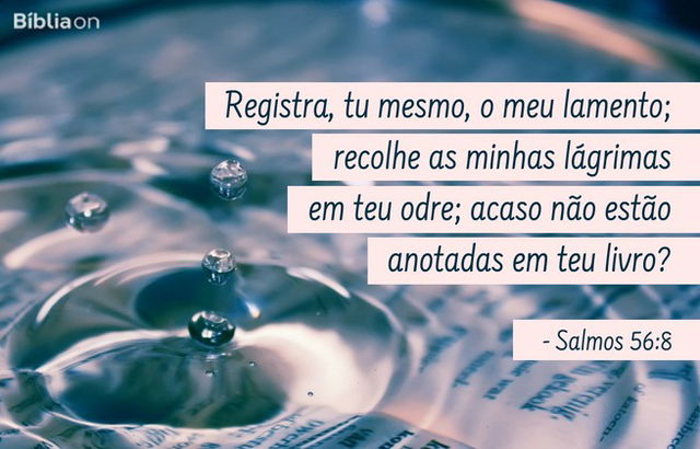 Registra, tu mesmo, o meu lamento; recolhe as minhas lágrimas em teu odre; acaso não estão anotadas em teu livro? Salmos 56:8