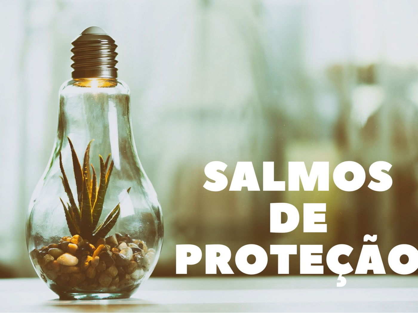 Salmo 91 - o Salmo mais poderoso para ter força e proteção