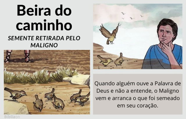 Parábola do semeador - imagens de pássaros comendo sementes no caminho, quem ouve e não entende a Palavra de Deus