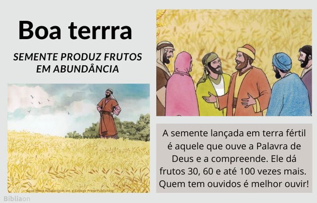 Parábola do Semeador - imagem de grande plantação de trigo, pessoas que ouvem e compreendem a Palavra de Deus