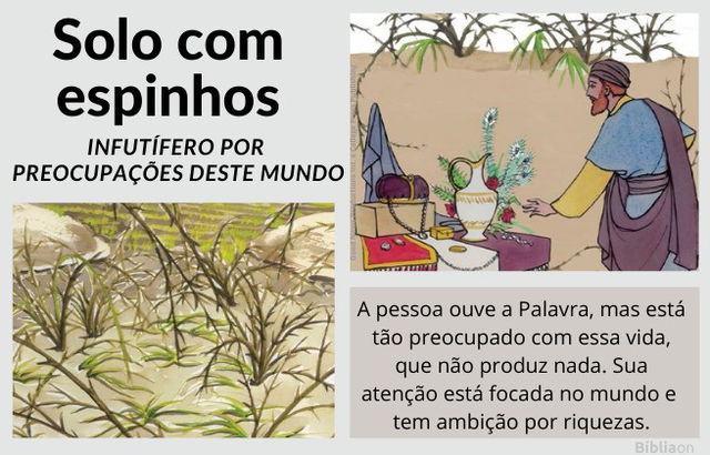 Parábola do Semeador - imagem de sementes entre espinhos, semente infrutífera pela preocupação mundana