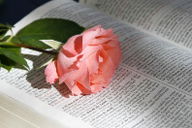 23 temas de pregação para aniversário