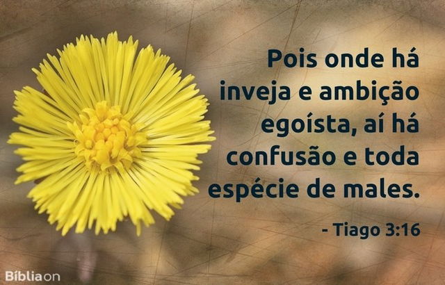 Pois onde há inveja e ambição egoísta, aí há confusão e toda espécie de males. Tiago 3:16