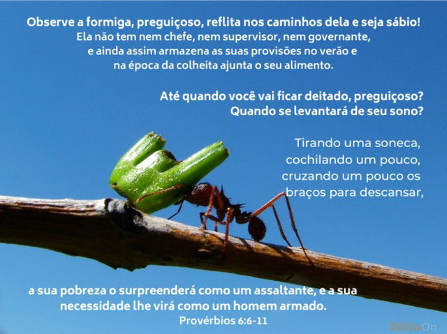 Provérbios. 6:6-11 Observe a formiga, preguiçoso... Imagem de uma formiga carregando alimento