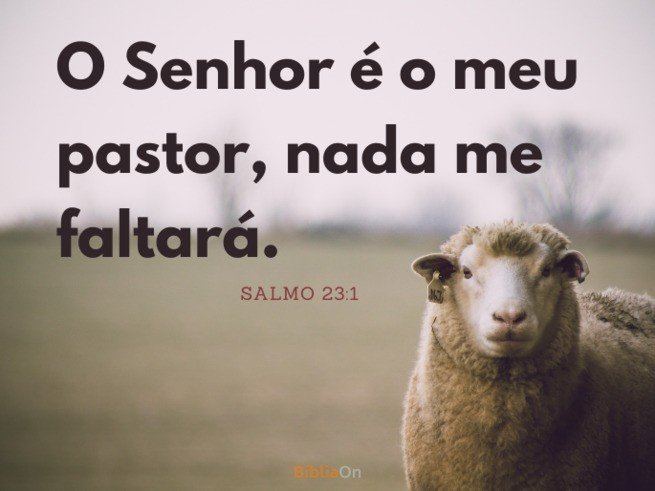 O Senhor é o meu pastor, nada me faltará - Salmo 23:1 - Imagem de uma ovelha no campo