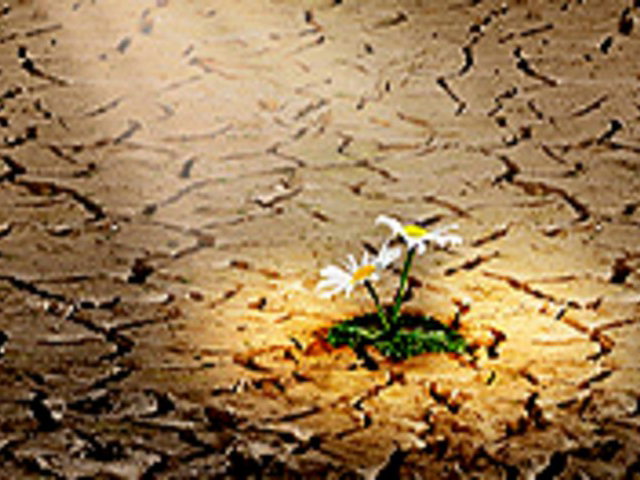 12 versículos de esperança para sua vida - Bíblia