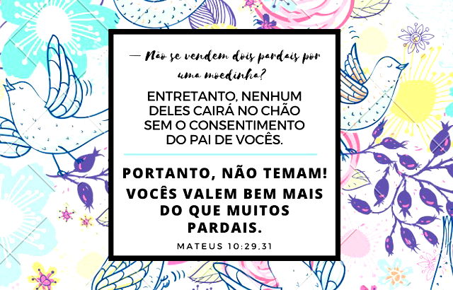 Imagens de fundo com pássaros - Mateus 10:29,31 - Deus cuida até dos pardais, quanto mais dos seus filhos