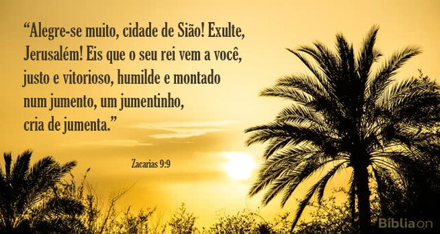 Alegre-se muito, cidade de Sião! Exulte, Jerusalém! Eis que o seu rei vem a você, justo e vitorioso, humilde e montado num jumento, um jumentinho, cria de jumenta. Zacarias 9:9